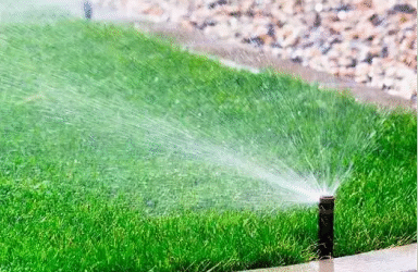 The Importance of Proper Drainage in Your Landscape Design