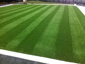Astro-Turf-Installation-Olympia-WA-98502